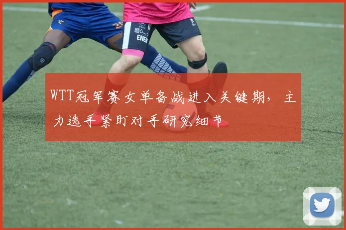 WTT冠军赛女单备战进入关键期，主力选手紧盯对手研究细节