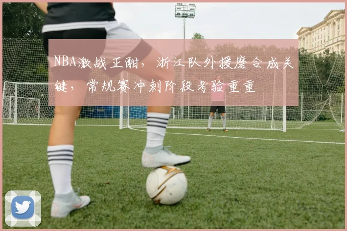 NBA激战正酣，浙江队外援磨合成关键，常规赛冲刺阶段考验重重