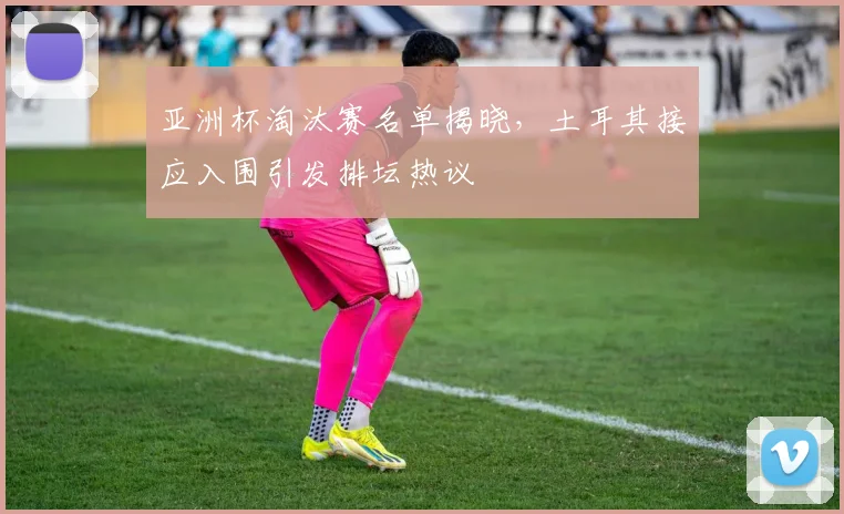 亚洲杯淘汰赛名单揭晓，土耳其接应入围引发排坛热议