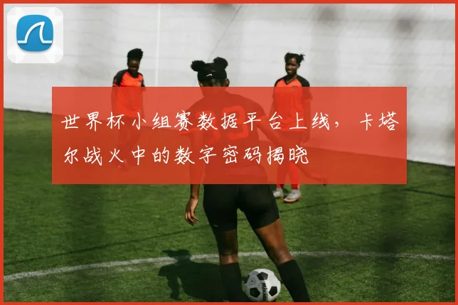 世界杯小组赛数据平台上线，卡塔尔战火中的数字密码揭晓
