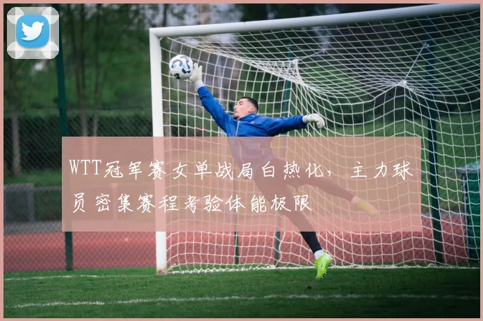 WTT冠军赛女单战局白热化，主力球员密集赛程考验体能极限